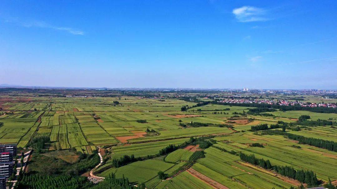 最新版奥德赛，自信与成就感的冒险之旅