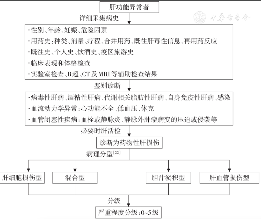 最新肝病药物治疗详解与步骤指南
